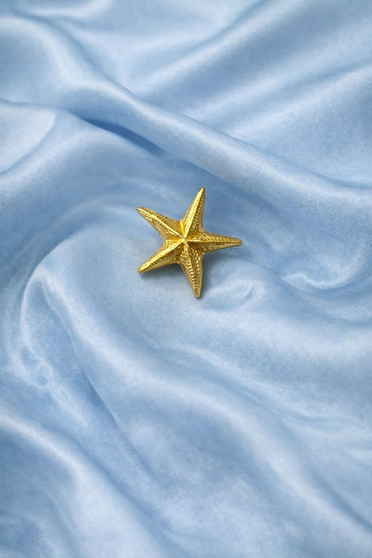 Star Brooch